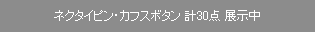�^�C�s���E�J�t�X�{�^���E�v���[�g�EB.�X�v�[�� �v12�_ �W����