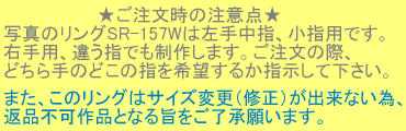 ̒ӓ_ ʐ^̃OSR-157W͍蒆wAwpłB EpAႤwł삵܂B̍ہA ǂ̂ǂ̎w]邩wĉB܂ÃO̓TCYύXiCjoȂׁAԕisiƂȂ|肢܂B