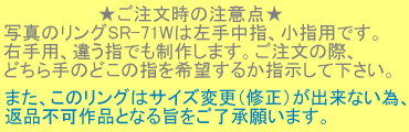 ̒ӓ_ʐ^̃OSR-71W͍蒆wAwpłBEpAႤwł삵܂B̍ہAǂ̂ǂ̎w]邩wĉB܂ÃO̓TCYύXiCjoȂׁAԕisiƂȂ|肢܂B
