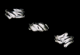 リング SR-111,W,112 リング SR-111,W,112