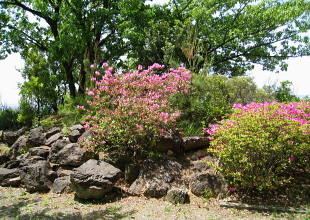 安満山 A1号墳 安満山 A1号墳