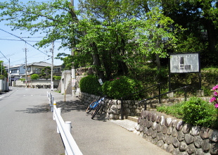 天神山の遺跡 天神山の遺跡