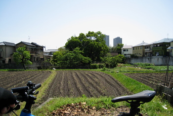 伝能因法師墳 伝能因法師墳