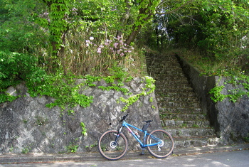 岡本山古墳 岡本山古墳