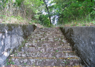 岡本山古墳 岡本山古墳