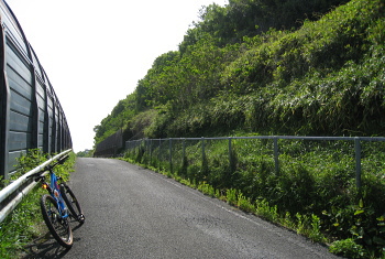 岡本山古墳 岡本山古墳
