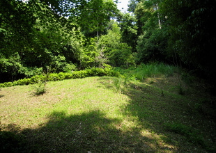 安満山 B2号墳 安満山 B2号墳