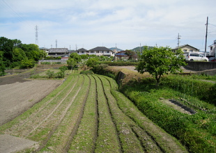 太田城跡 太田城跡