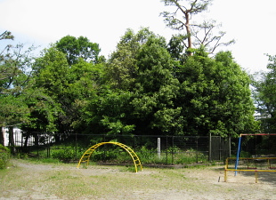 ほ号陪塚:B号陪塚 ほ号陪塚:B号陪塚