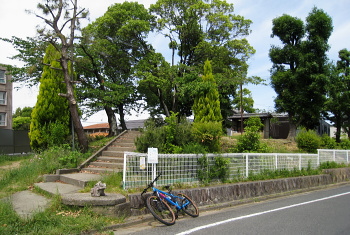 D号陪塚 D号陪塚