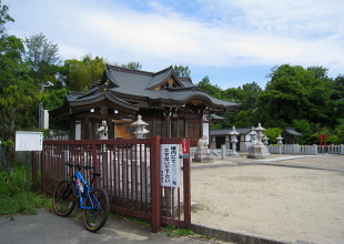 闘鶏野神社 闘鶏野神社