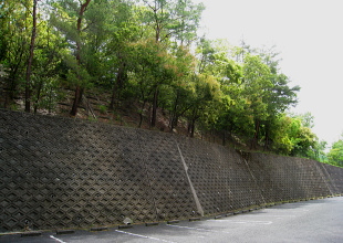 闘鶏山古墳 闘鶏山古墳