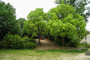塚原 M3号墳 塚原 M3号墳
