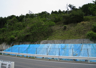 桑原古墳群 桑原古墳群