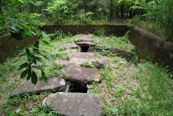 将軍山古墳 将軍山古墳