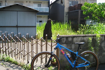 大日砦跡 大日砦跡
