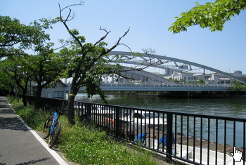 桜宮橋 桜宮橋