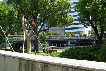 栴檀木橋 - せんだんのきばし - 栴檀木橋 - せんだんのきばし -