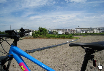 寺跡? 寺跡?