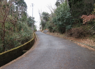 阿武山古墳 阿武山古墳