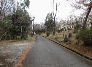 阿武山古墳 阿武山古墳