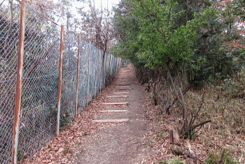 阿武山古墳 阿武山古墳