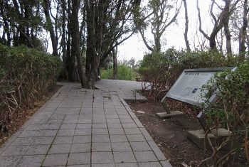 阿武山古墳 阿武山古墳