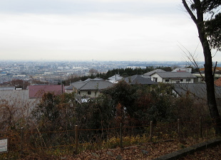 阿武山古墳 阿武山古墳