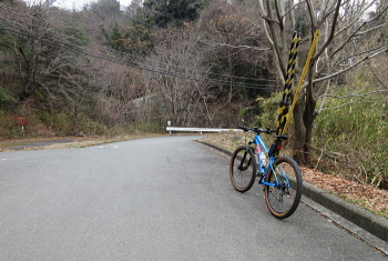 阿武山古墳 阿武山古墳