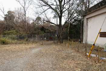 阿武山古墳 阿武山古墳
