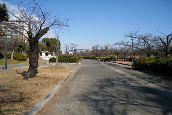 毛馬桜ノ宮公園 毛馬桜ノ宮公園