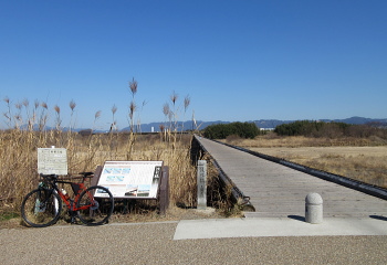上津屋橋 - 流れ橋 - 上津屋橋 - 流れ橋 -