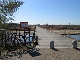 上津屋橋 - 流れ橋 - 上津屋橋 - 流れ橋 -
