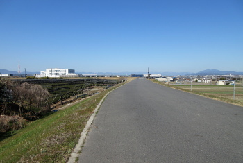 木津川左岸堤防 木津川左岸堤防