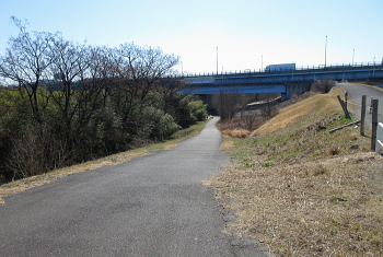 天王山大橋 天王山大橋