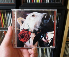 CD