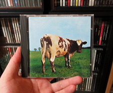 CD