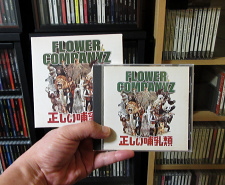 CD