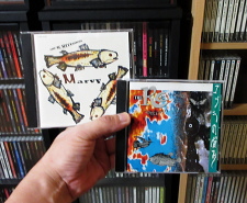 CD